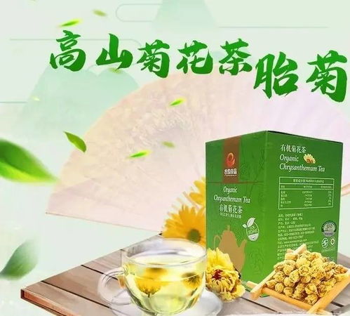 云阳三峡阳菊 岭上盛开的幸福之花