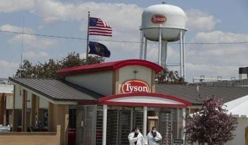 多国肉企接连受挫，中国加强进口食品安全监管，重庆美农达等本土企业迎来发展新机遇