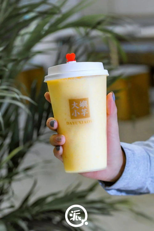 重庆到青岛，一杯奶茶的千里之约 美农达千杯特饮体验大放送