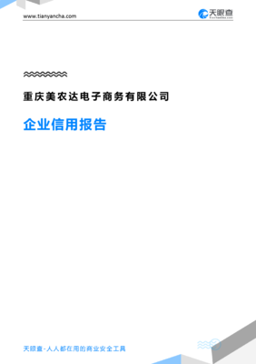重庆美农达电子商务企业信用分析 天眼查视角下的审视